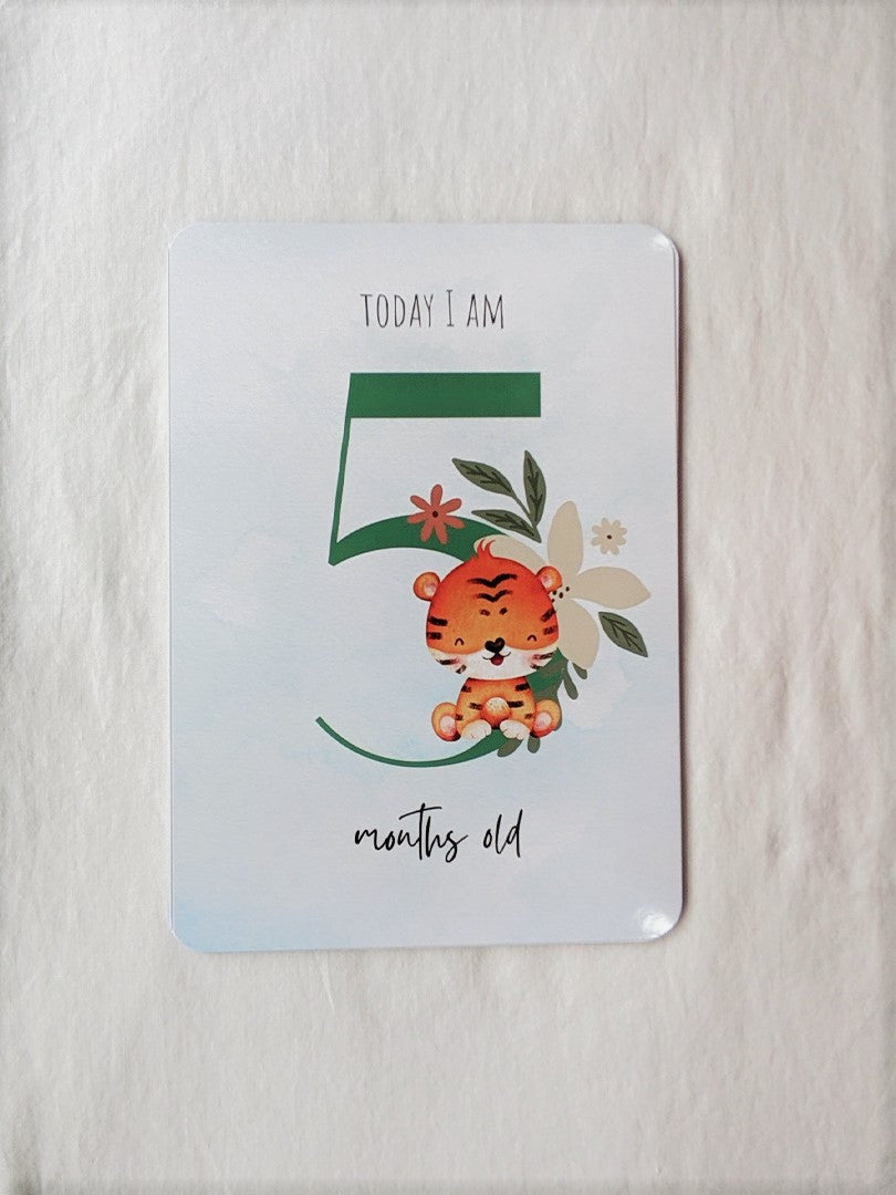 Baby Milestone Cards