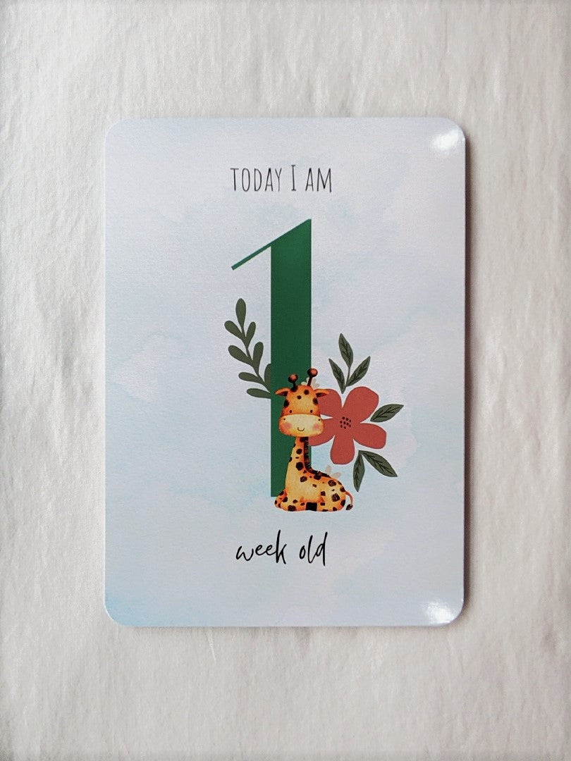 Baby Milestone Cards